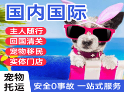 贡嘎机场货运国际宠物托运 【国